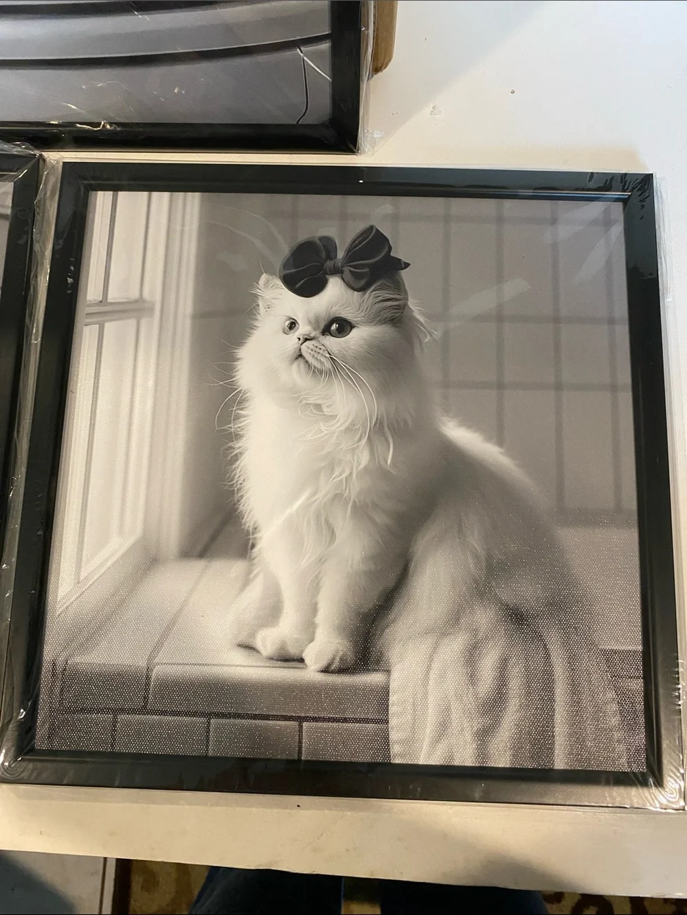 NIB Set of 3 Framed Black and White Prints of White Cats